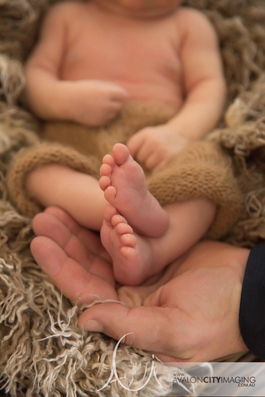 Adelaide newborn photoshoot .jpg