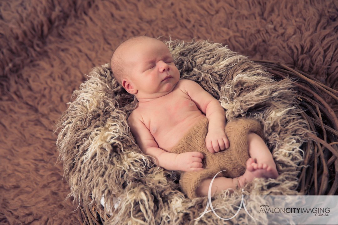 Adelaide newborn photography .jpg