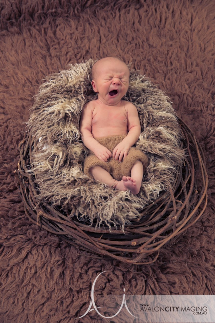 Adelaide newborn photographer.jpg