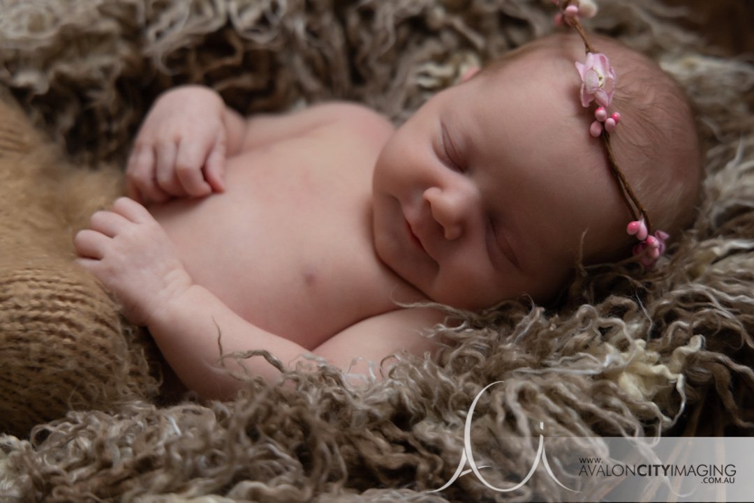 Newborn Photography Adelaide .jpg