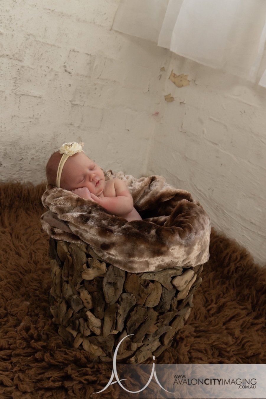 Adelaide newborn photographer .jpg