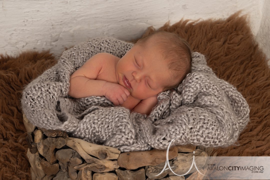 Adelaide Newborn Photographer .jpg