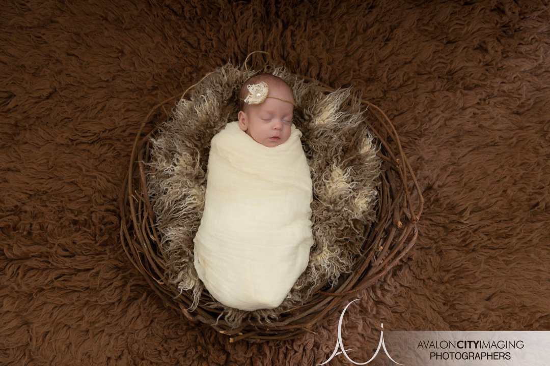 Adelaide Newborn Photography .jpg