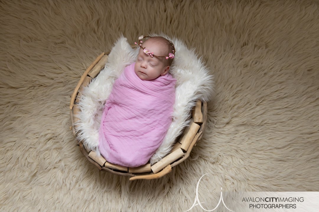 Adelaide Newborn Photography.jpg