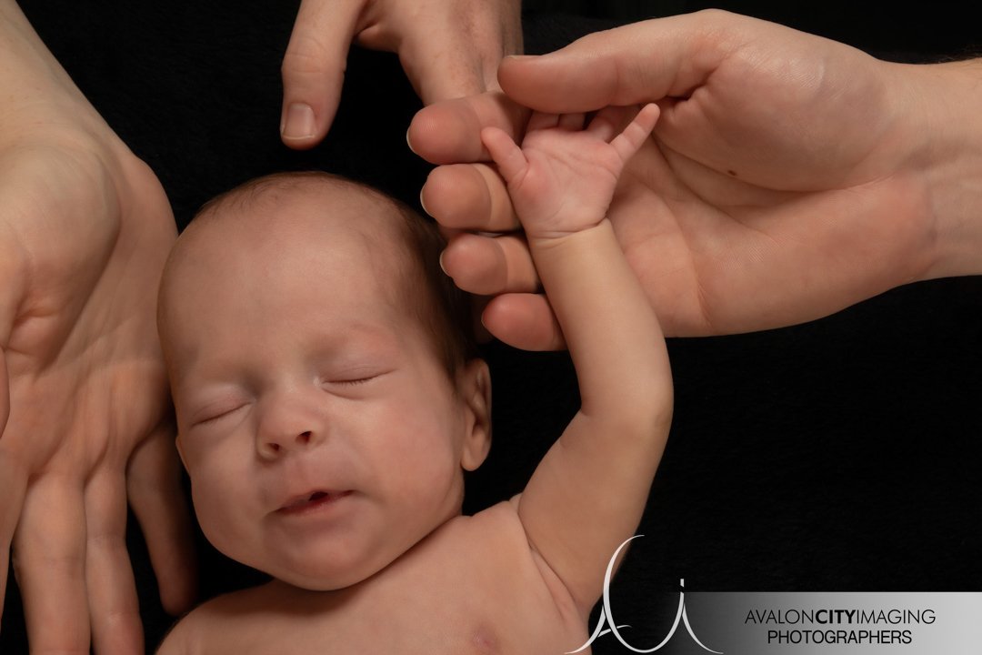 Newborn baby photography adelaide.jpg