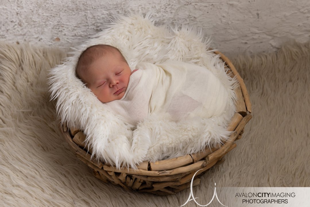 Newborn Baby Photography Studio Adelaide.jpg