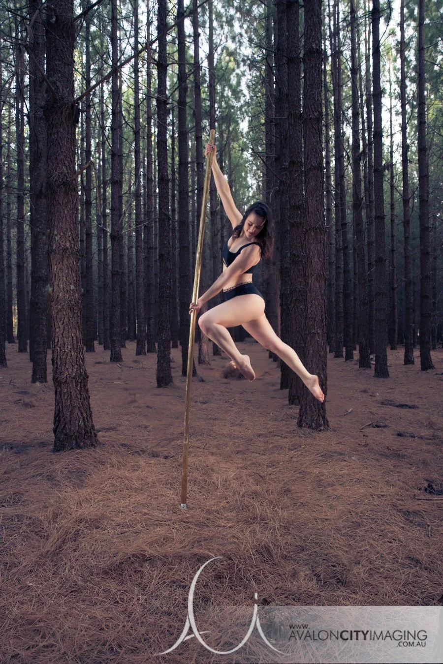 Adelaide Pole Photography.jpg