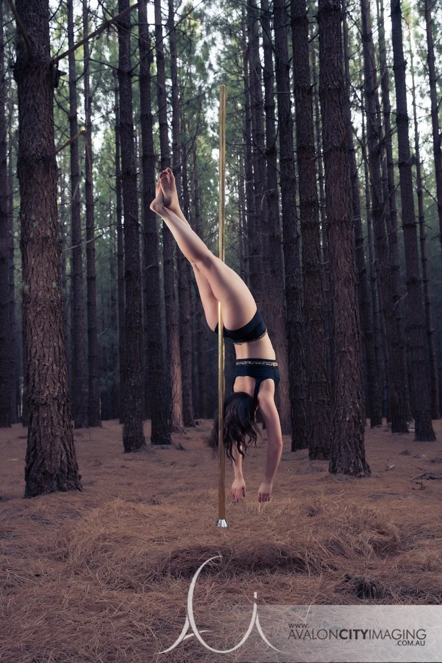 Adelaide Pole Photographer.jpg