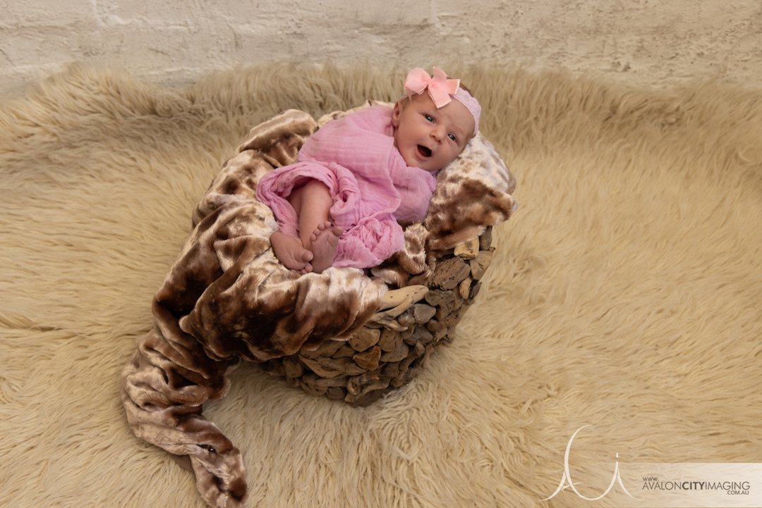 Newborn Photography Adelaide00002.jpg