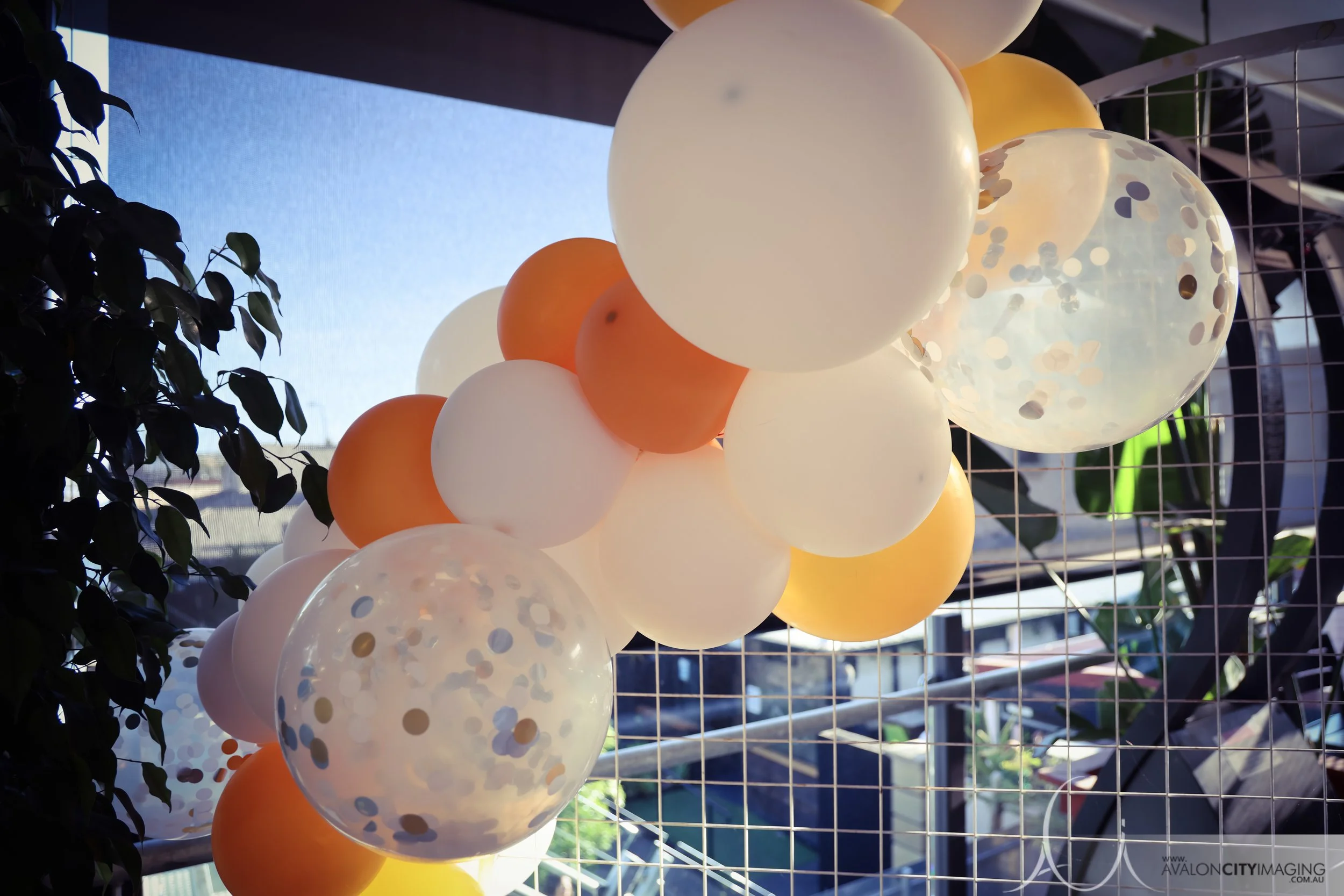 Adelaide Event Party Photography 35.jpg