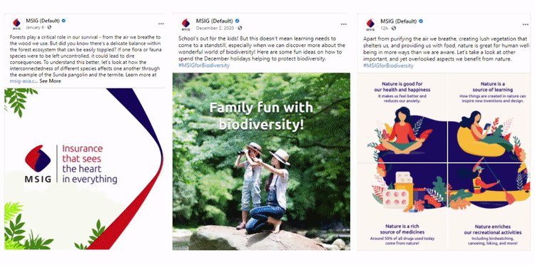 msigsocial post22.gif
