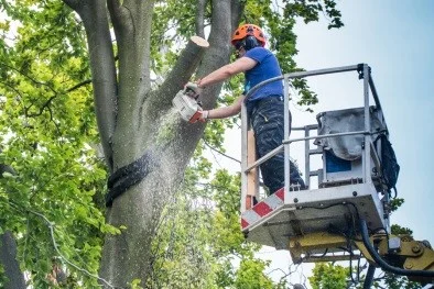 chainsaw.jpg