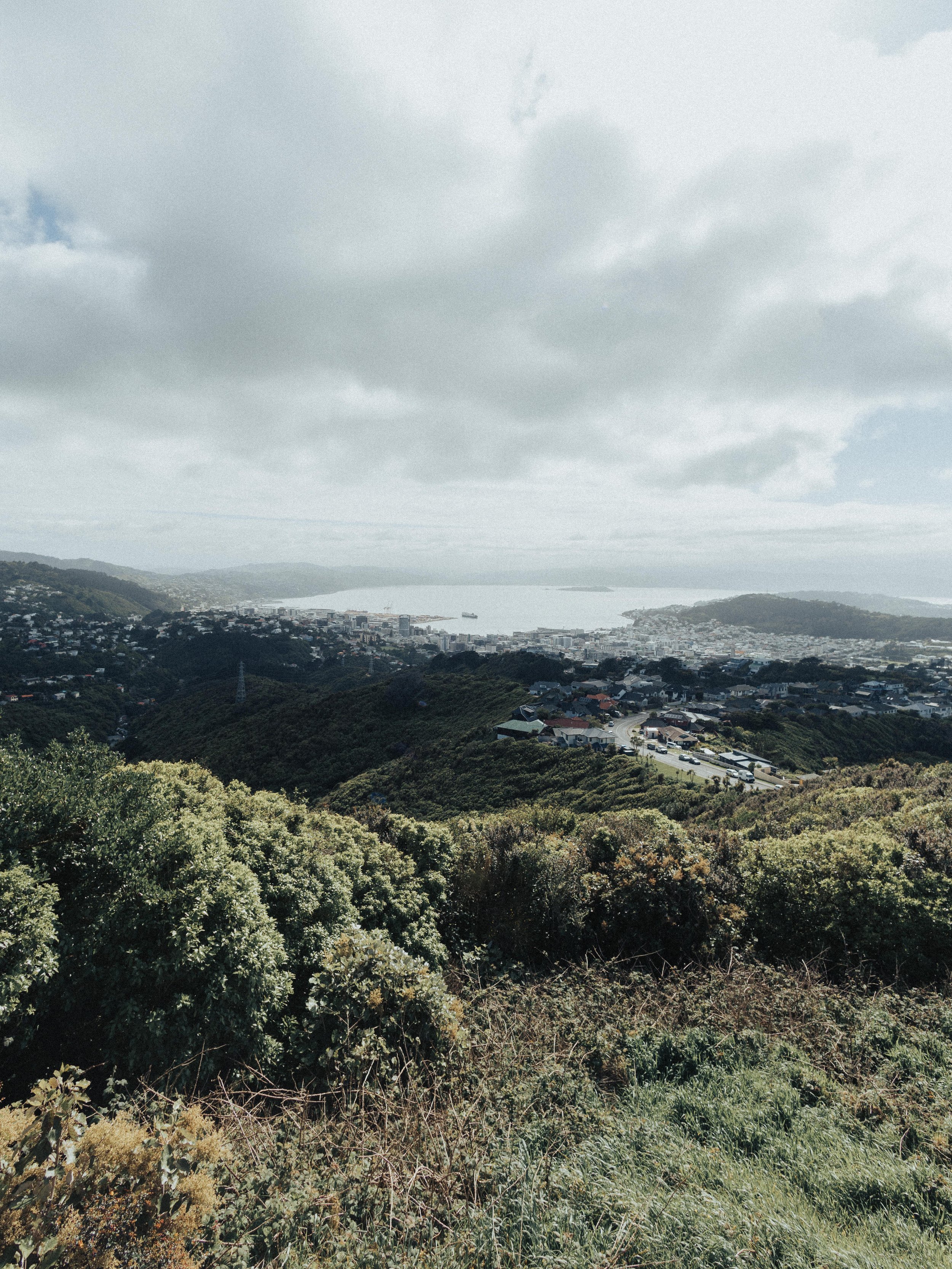 The view of Wellington city from the bunker, in the foreground, the bush and hills trail down to a residential area which then becomes the city. The city sits on the shore of a large harbour with a couple of smaller islands within it.