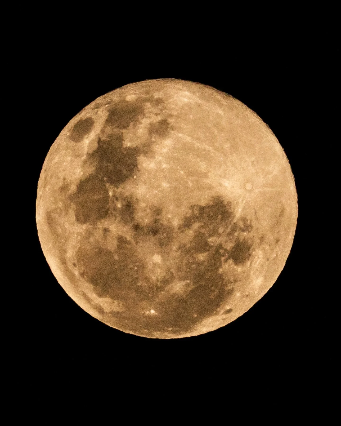 Supermoon from my garden in Wellington, New Zealand. 

7 October 2025

#SuperMoon #WellingtonNZ #Astrophotography #Moon #NewZealand #Photography