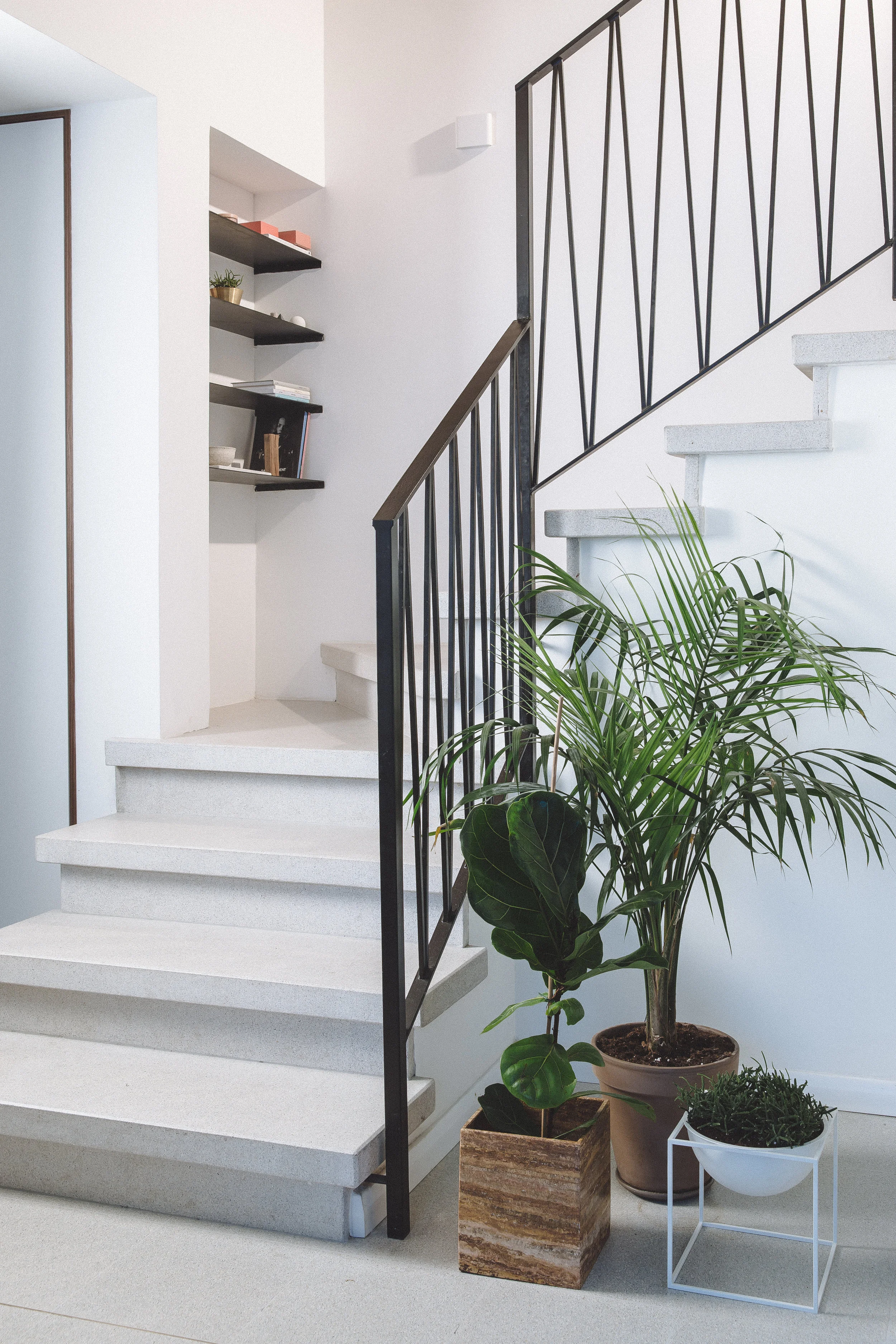 Steel railing. Terrazzo stairs. Greenery in interior design