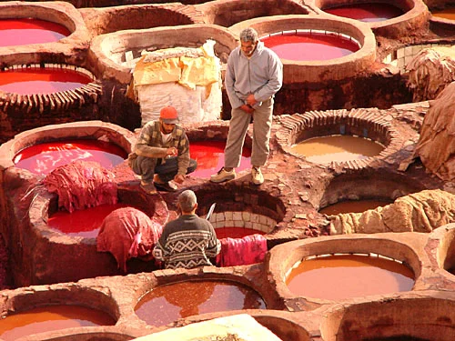 tanneries.jpg