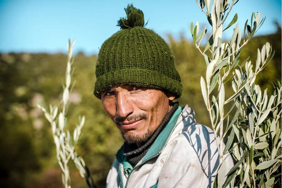 moroccan people agriculture beni mella.jpg