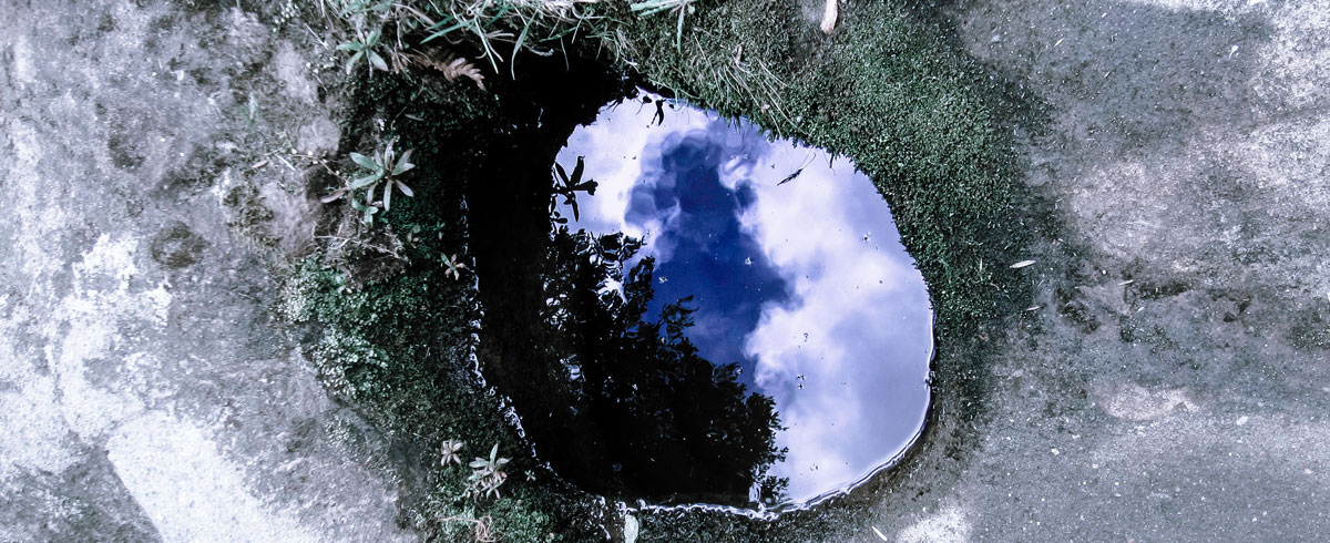 Nature Photography by Sarah Beale and Alex Feasey.