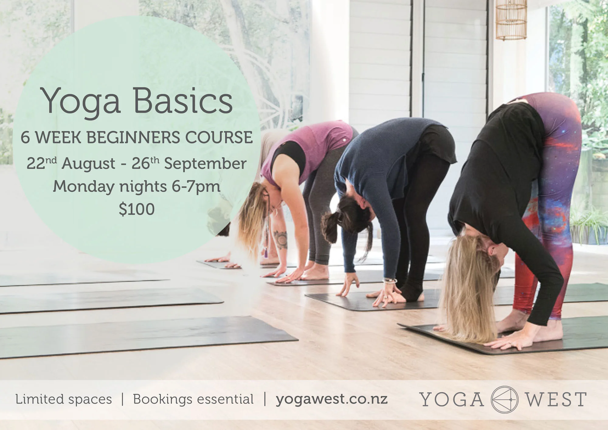 Yoga Basics Beginners Yoga Course