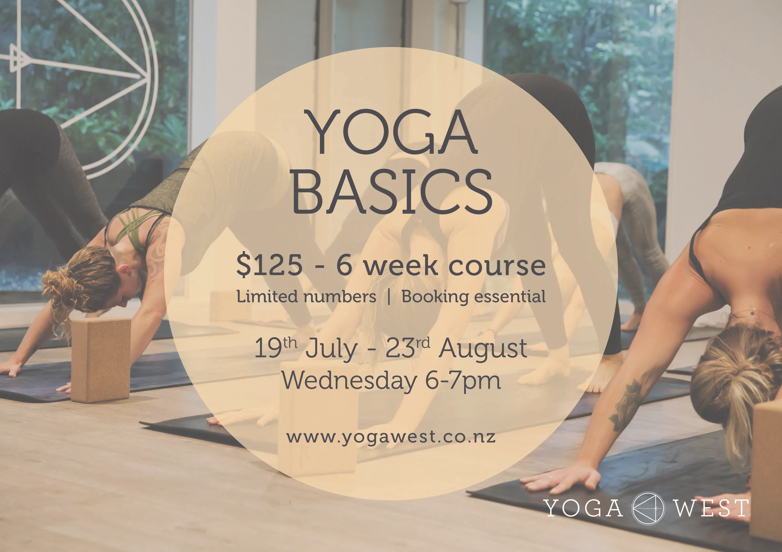 2017 Yoga Basics_19Jul-23Aug.jpg