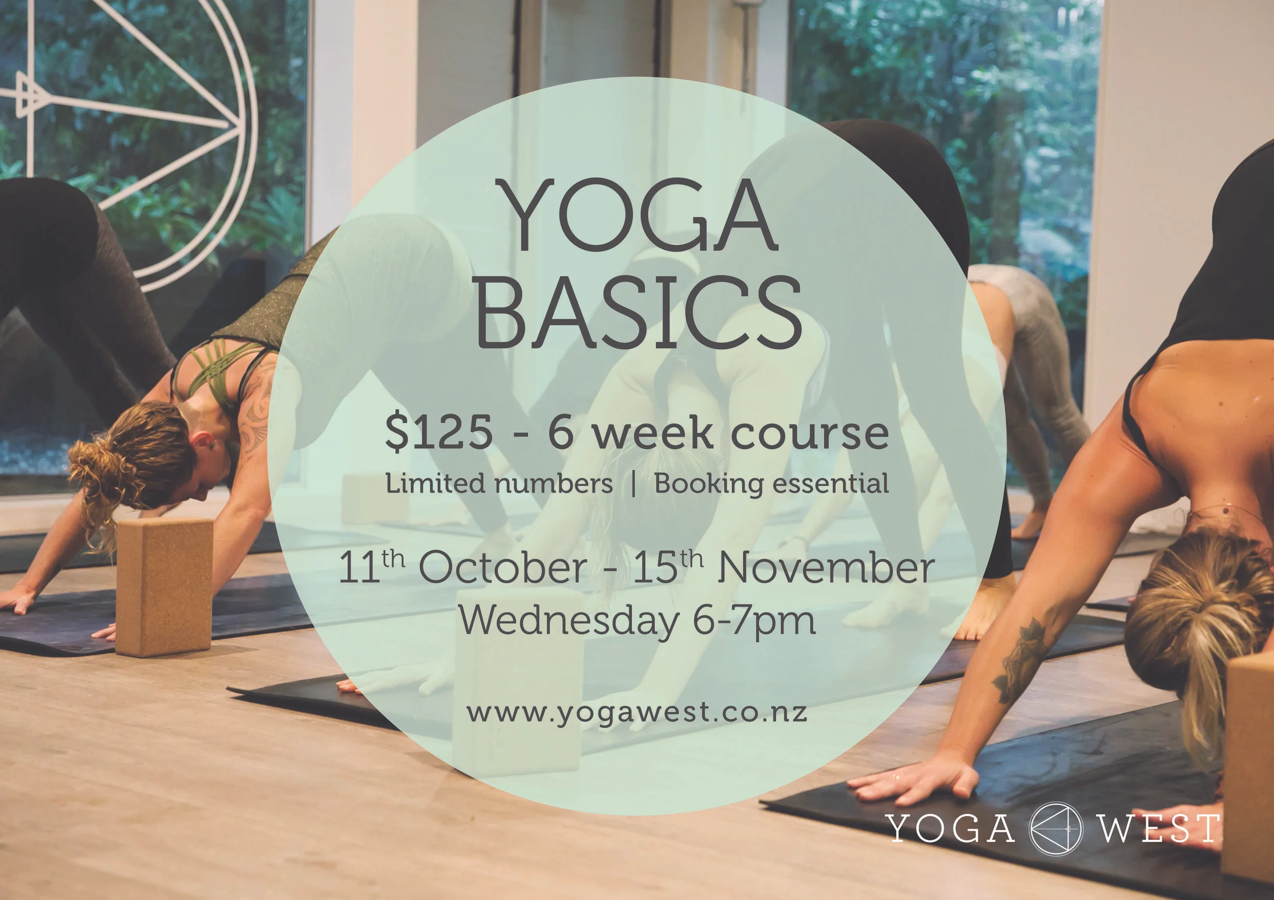 2017 Yoga Basics_11Oct-15Nov.jpg