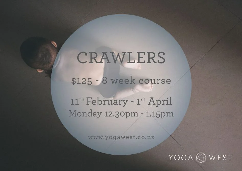 Crawlers feb-apr 2019.JPG