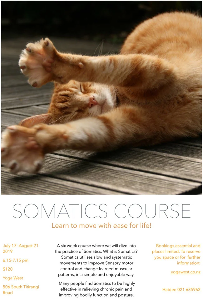 somatics-term-3-website.jpg