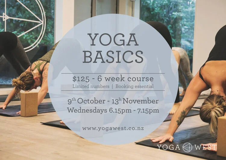 2019-Yoga-Basics_9-Oct-27Nov-800.jpg
