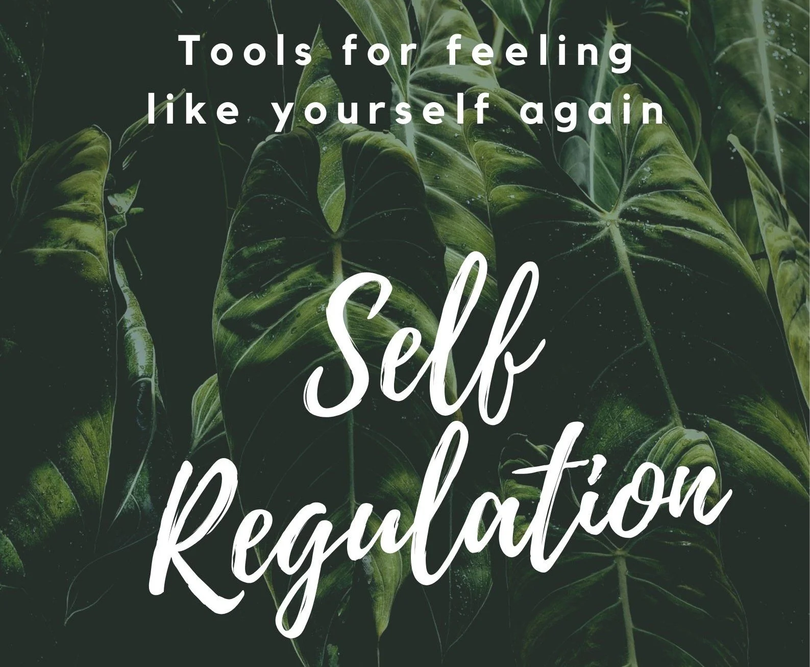 Self Regulation Workshop