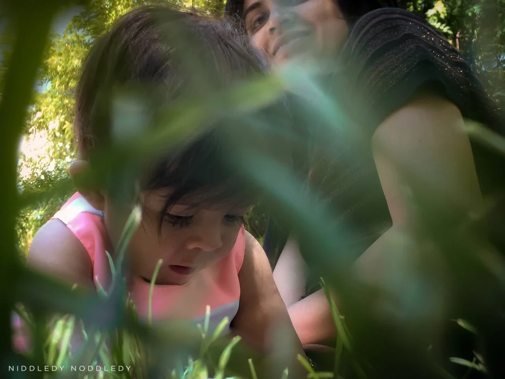 Go slow… or Why Niddledy Noddledy was born