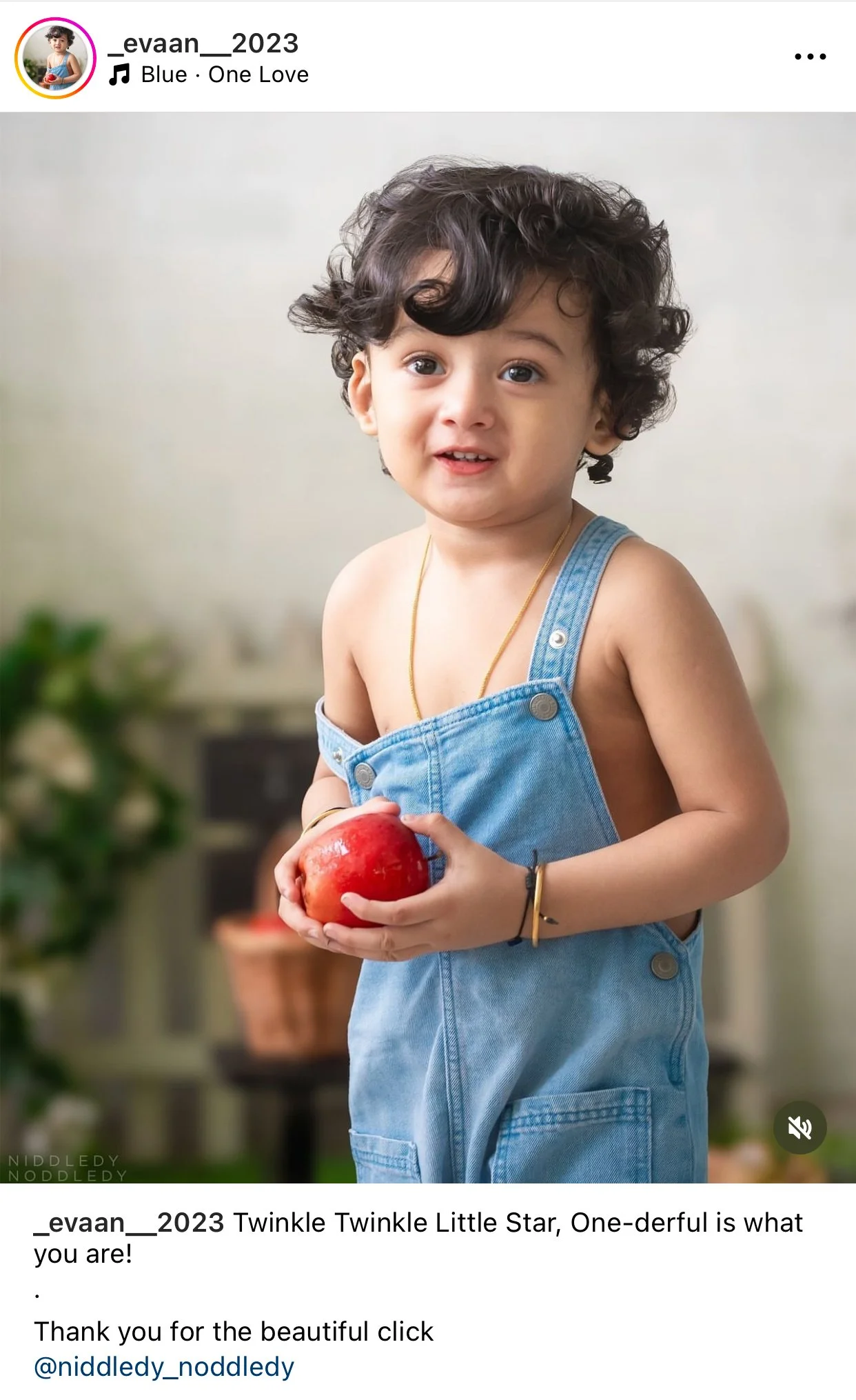 Testimonial 3 - Newborn, Maternity & Kids Photoshoots @ Niddledy Noddledy ~ Bumps to Babies Photography.jpg