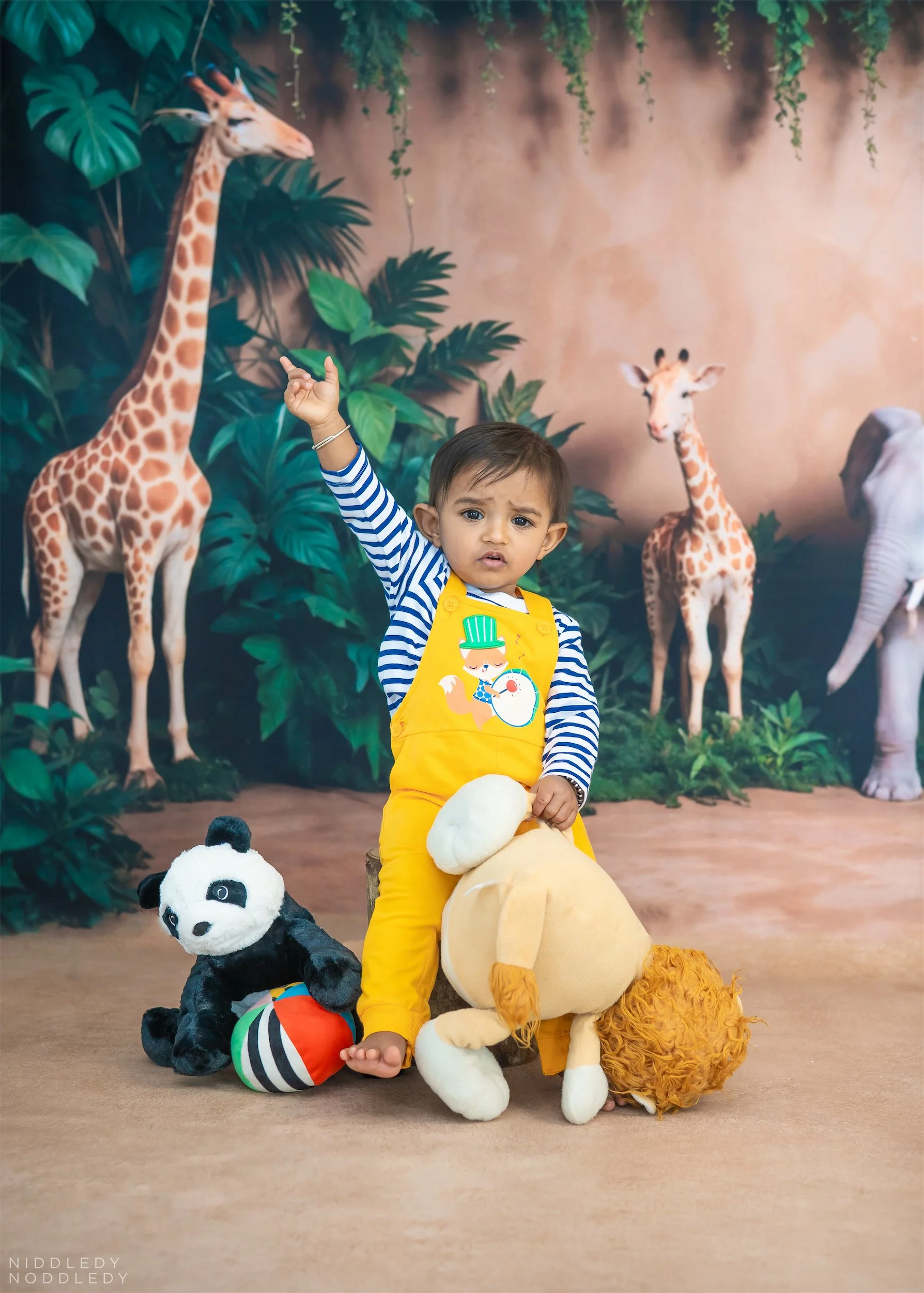 Viaan Baby Photoshoot ❤ NiddledyNoddledy.com ~ Bumps to Babies Photography, Kolkata - 13.jpg