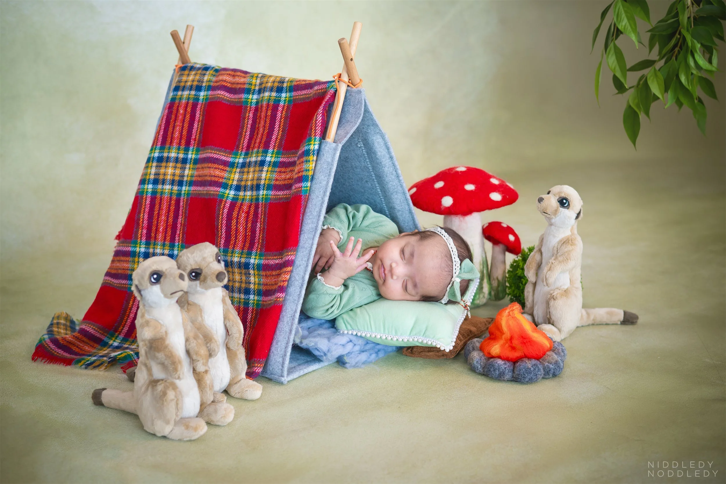 Naisha Nirvii Twins Newborn Baby Photoshoot ❤ NiddledyNoddledy.com ~ Bumps to Babies Photographer, Kolkata - 02.jpg