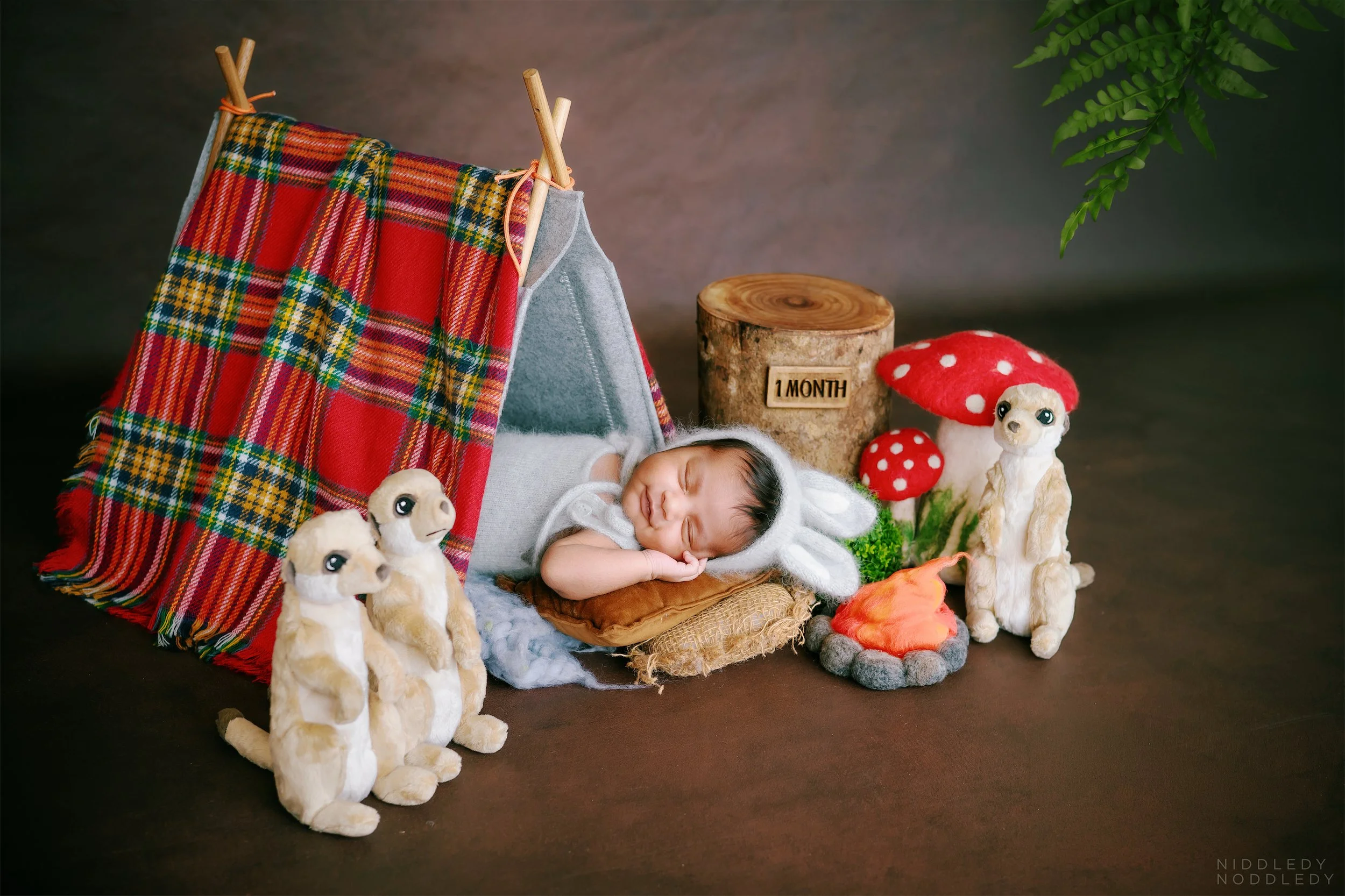 Riishaay Newborn Baby Photoshoot ❤ NiddledyNoddledy.com ~ Bumps to Babies Photographer, Kolkata - 12.jpg