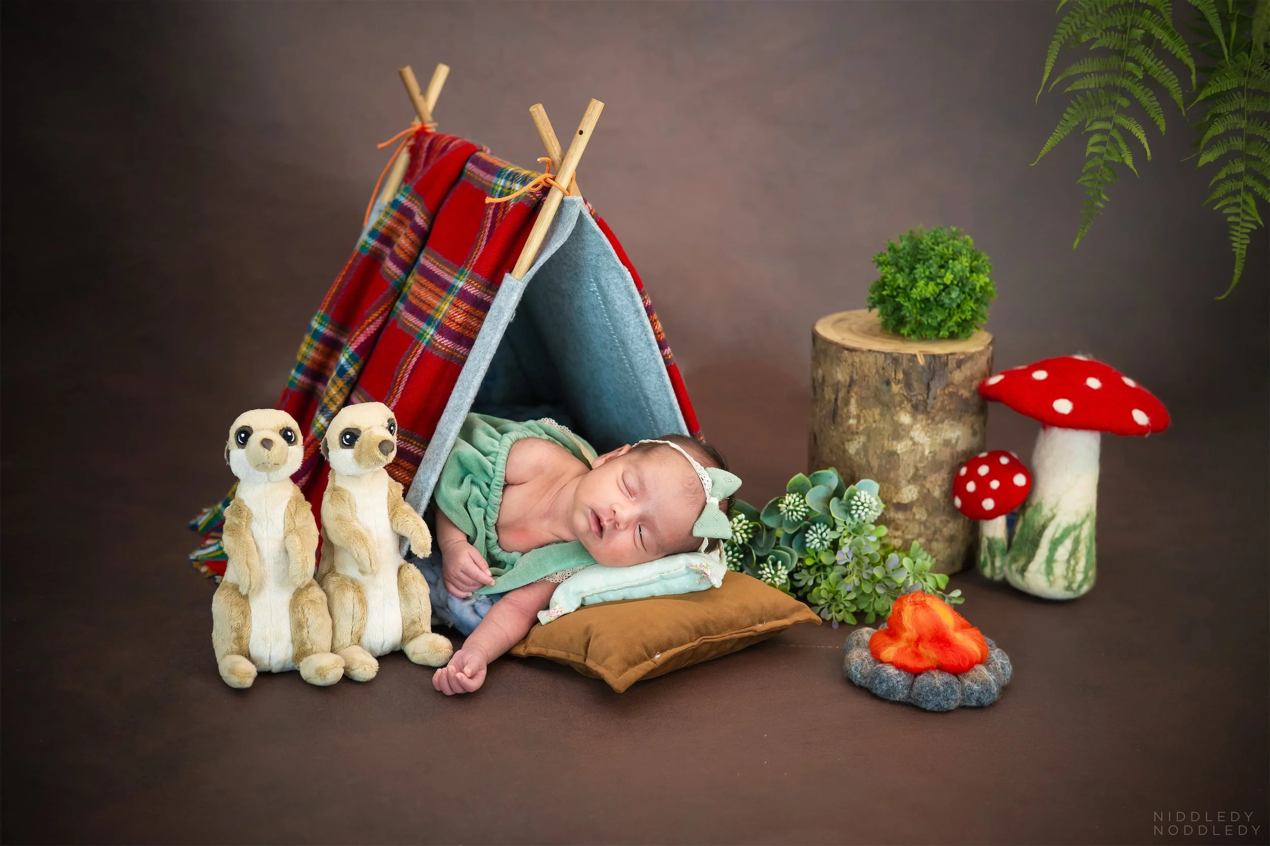 Ishaani Newborn Baby Photoshoot ❤ NiddledyNoddledy.com ~ Bumps to Babies Photographer, Kolkata - 02.jpg