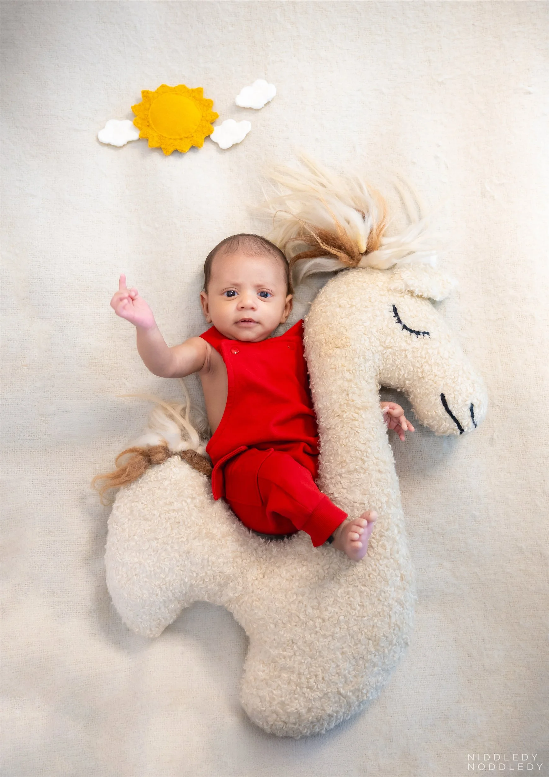 Adrieeck Newborn Baby Photoshoot ❤ NiddledyNoddledy.com ~ Bumps to Babies Photographer, Kolkata - 11.jpg