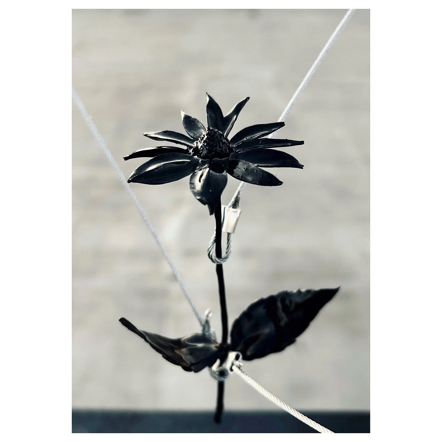 &ldquo;High Line Park Is a Good Place to Cry&rdquo; is a site-specific sculptural installation that comments on The Kingsland Wildflowers project and humanity&rsquo;s efforts to restore and construct nature as an act of resilience. It explores the im