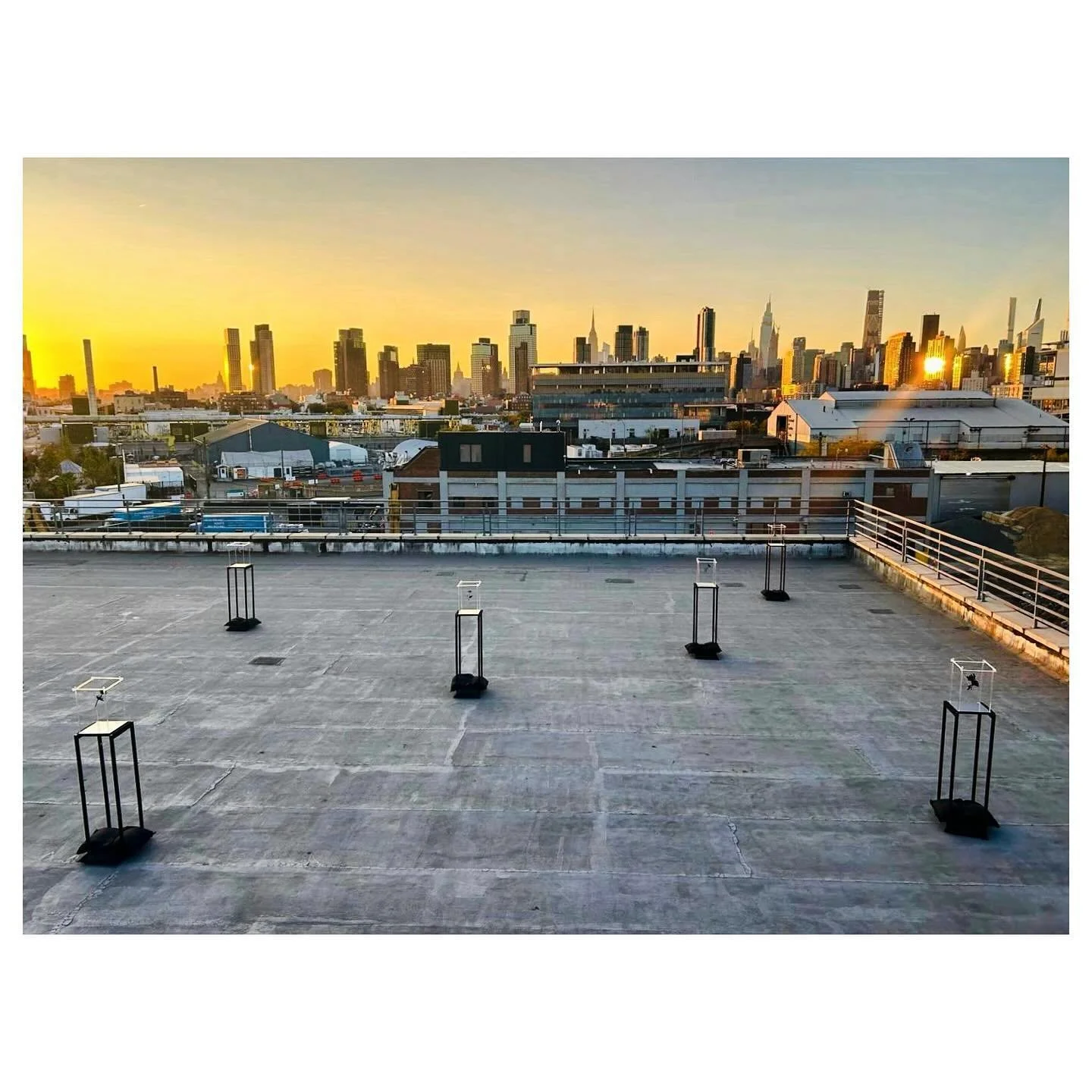 .
&ldquo;High Line Park Is a Good Place to Cry&rdquo; is a site-specific sculptural installation that comments on The Kingsland Wildflowers project and humanity&rsquo;s efforts to restore and construct nature as an act of resilience. It explores the 