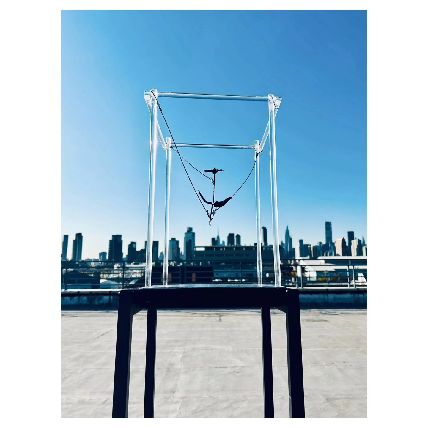 &ldquo;High Line Park Is a Good Place to Cry&rdquo; is a site-specific sculptural installation that comments on The Kingsland Wildflowers project and humanity&rsquo;s efforts to restore and construct nature as an act of resilience. It explores the im