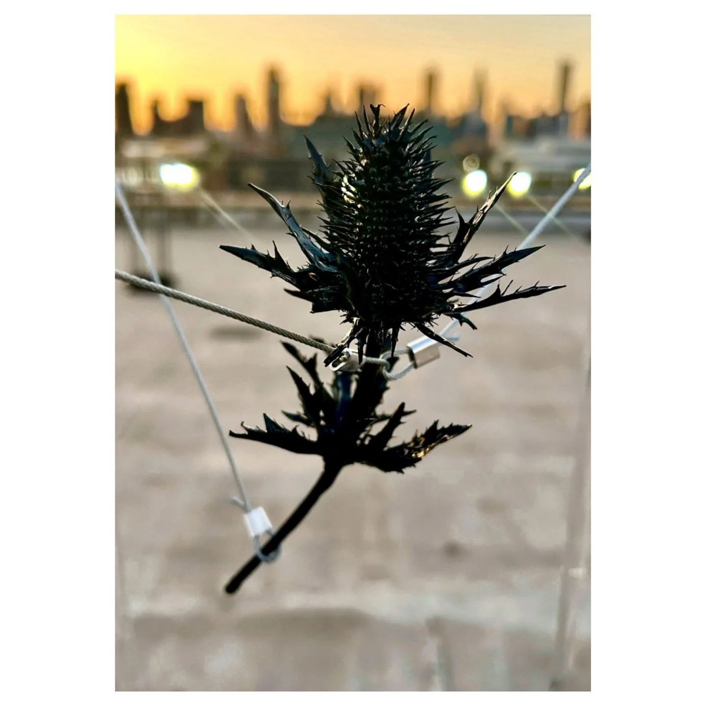 &ldquo;High Line Park Is a Good Place to Cry&rdquo; is a site-specific sculptural installation that comments on The Kingsland Wildflowers project and humanity&rsquo;s efforts to restore and construct nature as an act of resilience. It explores the im