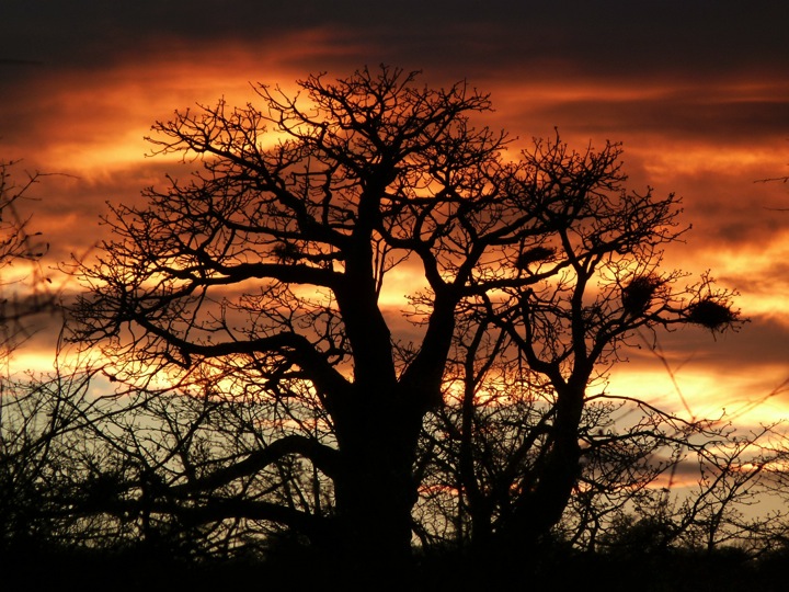 lolkisale sunset2.jpg