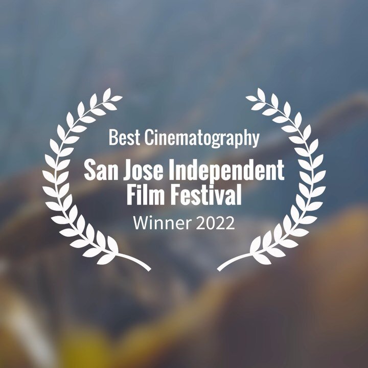 Our latest award for the Sea and Me series came through late last night. Best Cinematography at San Jose International Film Festival. Swipe to see the full list of awards for the series to date. Got another 6 months of announcements to come through s