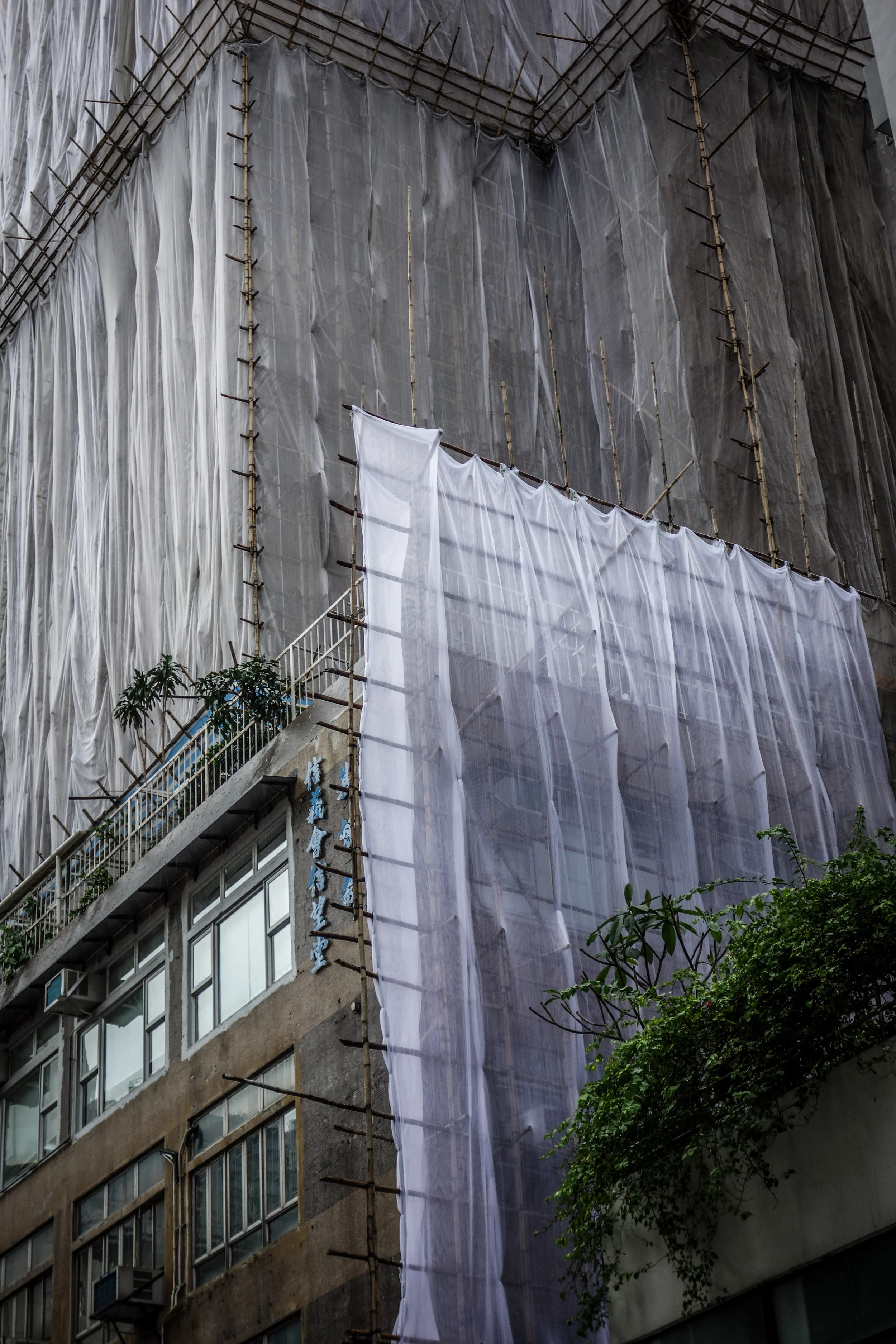 20160604_ HK June 2016_410.jpg