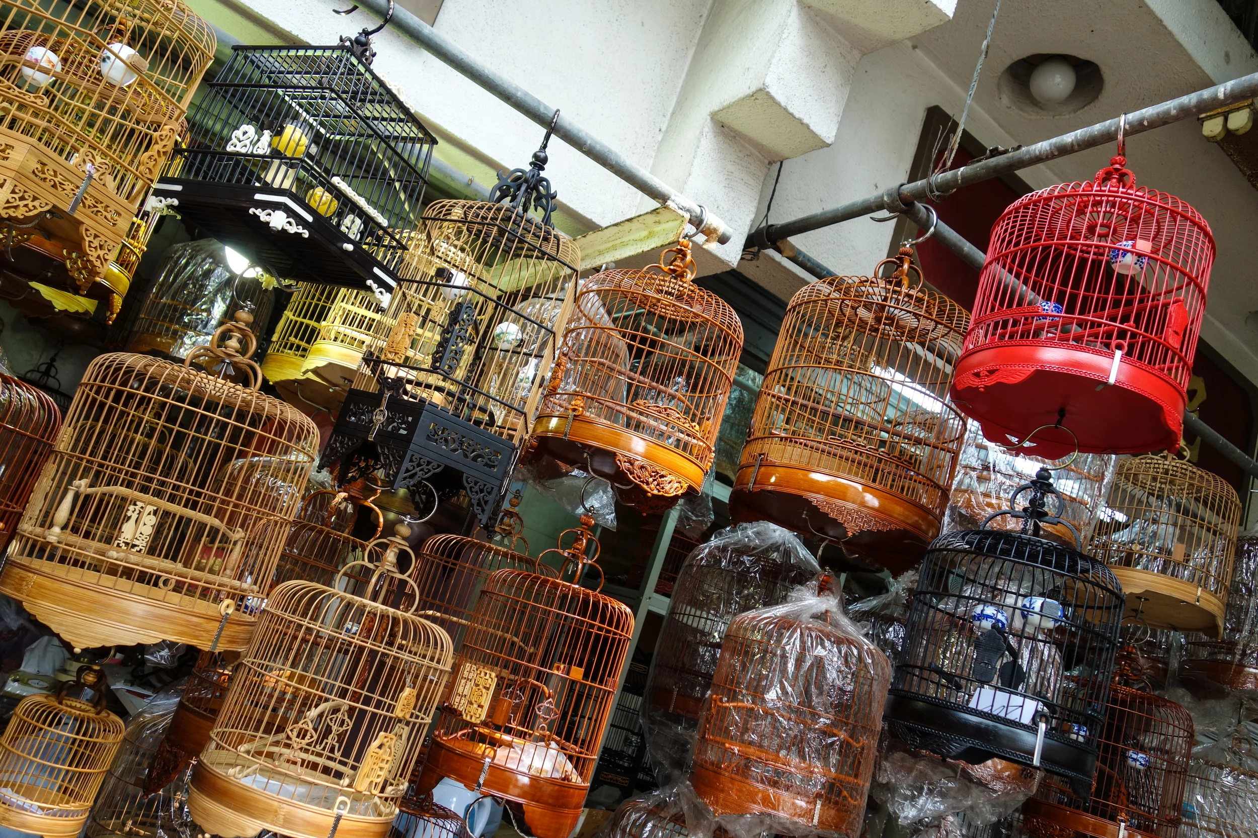 20160607_ HK June 2016_015.jpg