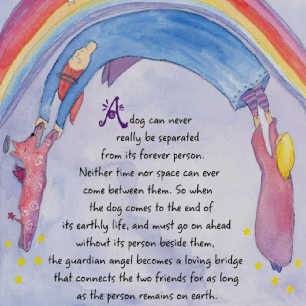 Illustration du pont arc-en-ciel symbole de deuil animalier
