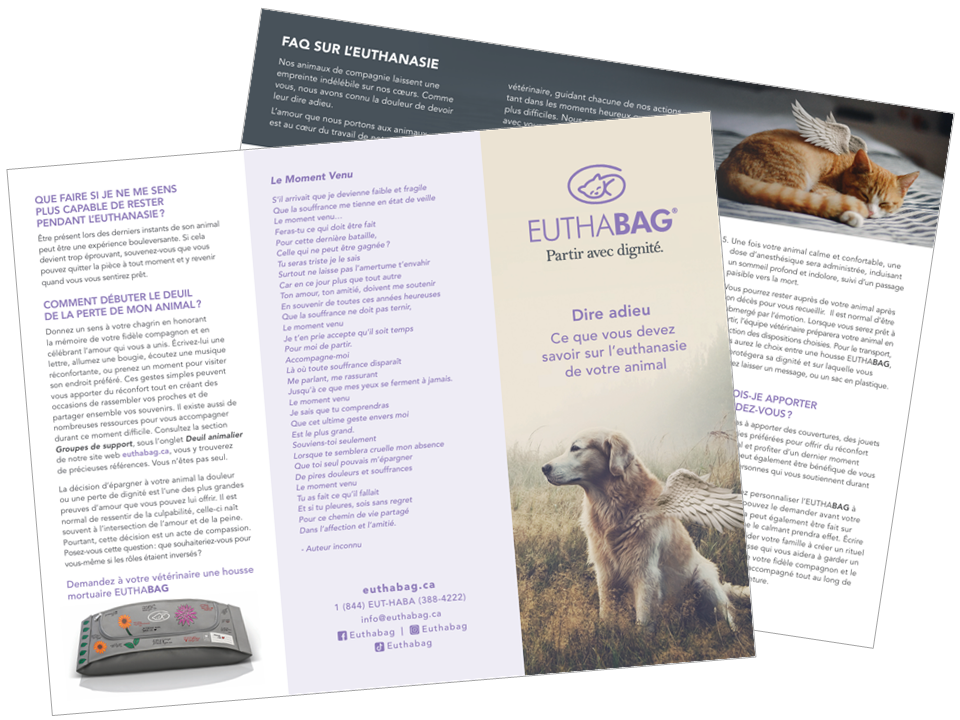 dépliant à propos de l'euthanasie d'un animal