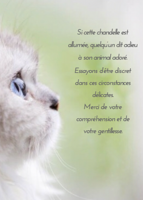affiche qui indique qu'une euthanasie est en cours