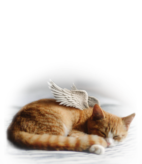 Euthabag Pet Body Bag / Housse mortuaire pour animaux