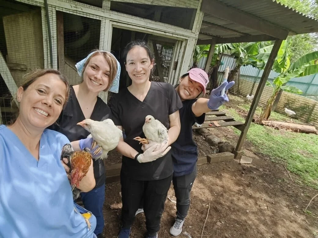 Chroniques d'une Campagne de stérilisation : Une aventure enrichissante au cœur du Costa Rica