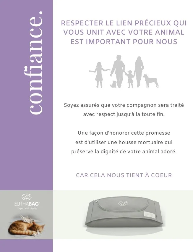 affiche à mettre dans la salle d'attente vétérinaire